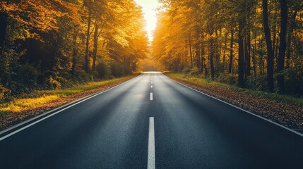 Fototapeta premium Autumn evening road - Amazing landscape shot of a rural highway running through a beautiful forest landscape. Orange and green leaves