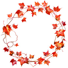 Fototapeta premium Maple leaf floral frame wreath frame illustration