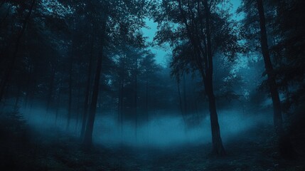 Fototapeta premium Mystical Moody Forest in Twilight with Dense Fog and Blue Hues