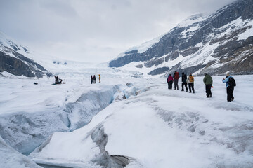 Beautiful landscape near Athabasca glacier in Alberta, Canada 