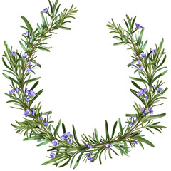 Obraz premium Rosemary floral frame wreath frame illustration