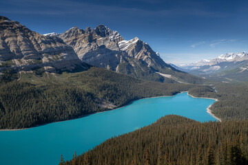 Beautiful Peyto Lake, Banff National Park, Alberta, Canada
