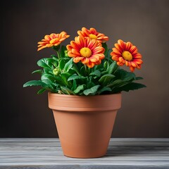 Fototapeta premium Beautiful Flower Pot
