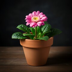 Beautiful Flower Pot