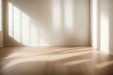 Obraz premium empty room with window