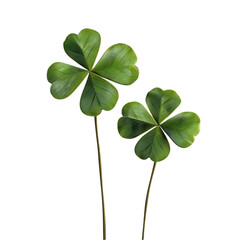 Two Green Leaf Clovers Isolated on Transparent Background