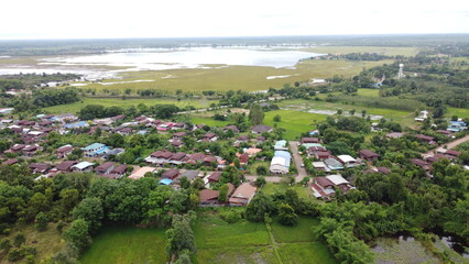 Green Paddy Field Ariel View in Thailand.,Aerial view of rice fields. Bird eye view of rice field.