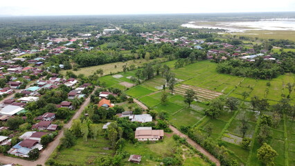Green Paddy Field Ariel View in Thailand.,Aerial view of rice fields. Bird eye view of rice field.