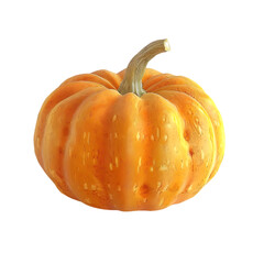 Vegetable Pumpkin Isolated on Transparent Background