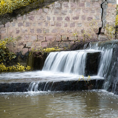 waterfall in the forest