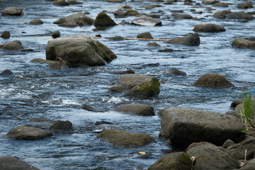 静かな川の自然風景