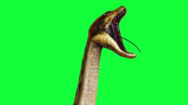 3d Illustration Golden Anaconda, Boa Constrictor The World's Biggest Venomous Snake Isolated on Green Background, 3d Rendering