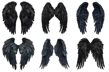 Six Different Views of a Pair of Black Angel Wings