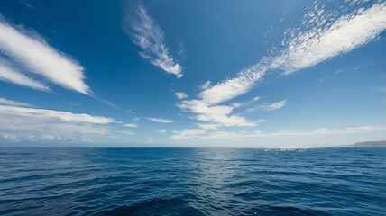 Fototapeta premium beach with sky