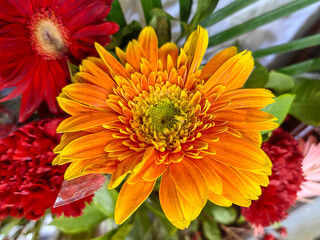 Beautiful and fresh spring flowers background