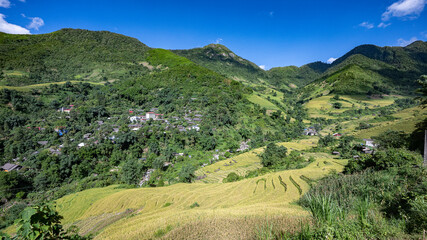 Landscape with green and yellow rice terraced fields and cloudy sky near Sapa  in northern Vietnam
