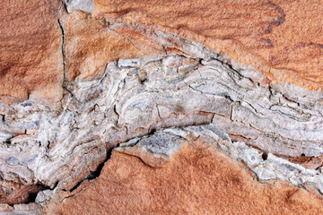 the texture of dry wood is gray-orange shades
