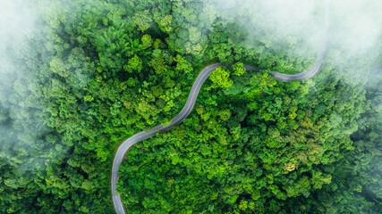 Aerial view of a road in the middle of the forest , road curve construction up to mountain	
