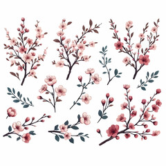 Free vector Hand drawn cherry blossom branch