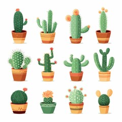 Charming Cactus Collection in Pots Illustration, Perfect for Home Decor and Gardening Enthusiasts