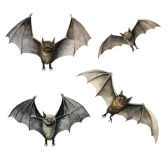 watercolor painting of bat four collection isolated 