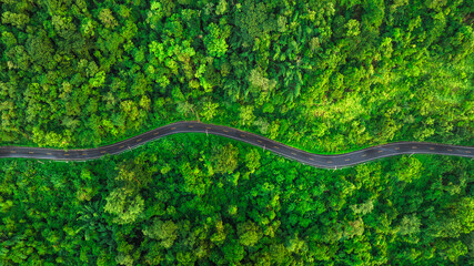 Aerial view of a road in the middle of the forest , Ecosystem ecology healthy environment road trip...