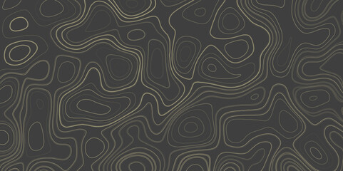 The concept of a conditional geography scheme and  contour line map vector. Contour map background, geographic grid map..