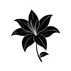 Lily Flower Black Silhouette Vector Illustration