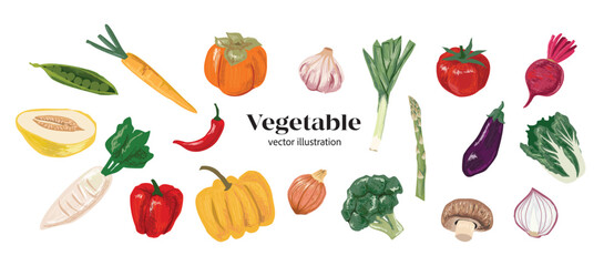 Vegetables in Hand-drawn style set, icon collection, food elements for design menu label packaging vector illustration