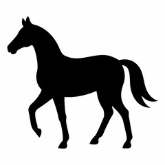 Horse silhouette vector illustration with white background