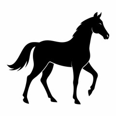 Horse silhouette vector illustration with white background