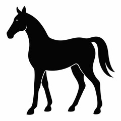 Horse silhouette vector illustration with white background