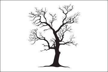 Fototapeta premium Tree without leaves, bare tree, leafless tree, winter tree, dormant tree, dead-looking tree, skeletal tree, branchy tree, twiggy tree, naked tree, exposed tree, stripped tree, barren tree, unadorned t