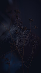 Sonnenblumen, Pferden und Grashupfern Schmetterlingen Blumen