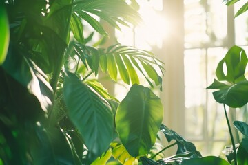 Sunlight Filtering Through Lush Green Leaves