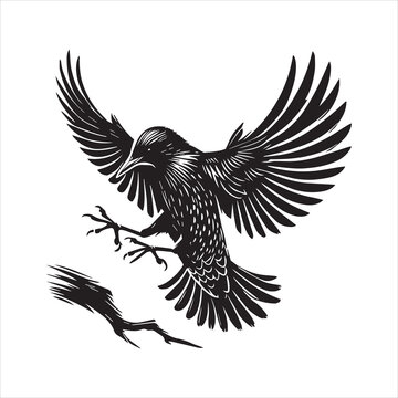 recommend clip art: Common Starling Clipart, Starling silhouette, European starling illustration in black and white 