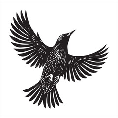 Fototapeta premium Common Starling Clipart, Starling silhouette, European starling illustration in black and white 