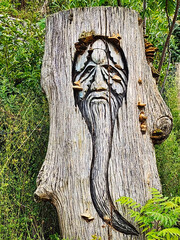 arbre sculpté 