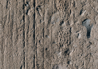 the texture of the tracks on the sand 