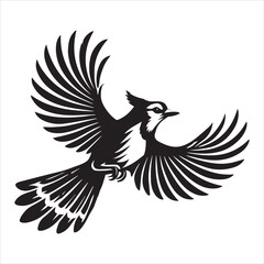 Obraz premium Blue jay Bird Clipart, Cyanocitta cristata silhouette, Blue jay illustration in black and white