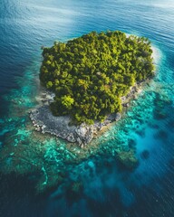 Tropical Island Paradise: Aerial View of Lush Green Island in Azure Ocean