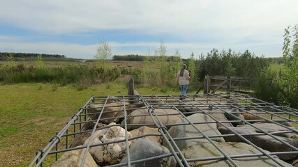 Tilt up shot of caged stone wall, hiker walking towards entrance to Mechelse Heide nature reserve, plain in background, Hoge Kempen National Park, sunny day in As, Limburg, Belgium
