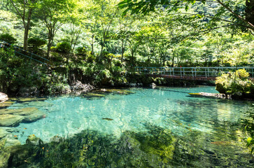 エメラルドグリーンが美しい夏の白龍湖