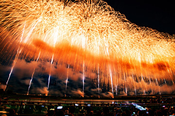長岡花火2024　復興祈願花火フェニックス