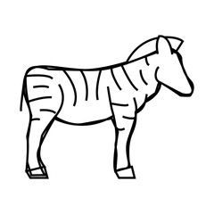 zebra animal line icon vector. zebra animal sign. isolated contour symbol black illustration