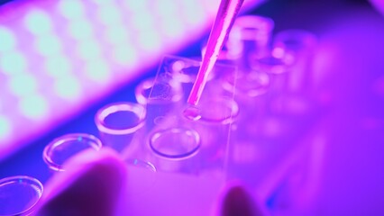 Analyzing Chemicals in Neon Purple Light Using Advanced Laboratory Equipment