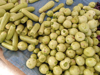 Fresh Apple Gourd Ready for Cooking