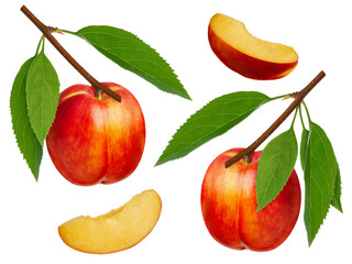 Nectarine fruit with green leaves on branch  set isolated on white background