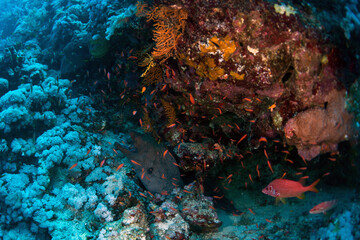 However, these monuments to the bloody pages in human history are gradually disappearing, and in the coming years there may be nothing left of many ships and planes from the two world wars.