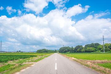 真夏の田舎の一本道